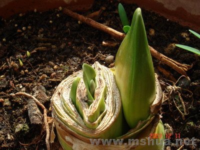 �ҵ���ܽ���շ�ѿʱ���Կ���2����ѿ