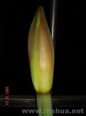 �ְֵ���ܽ��ð�úø�