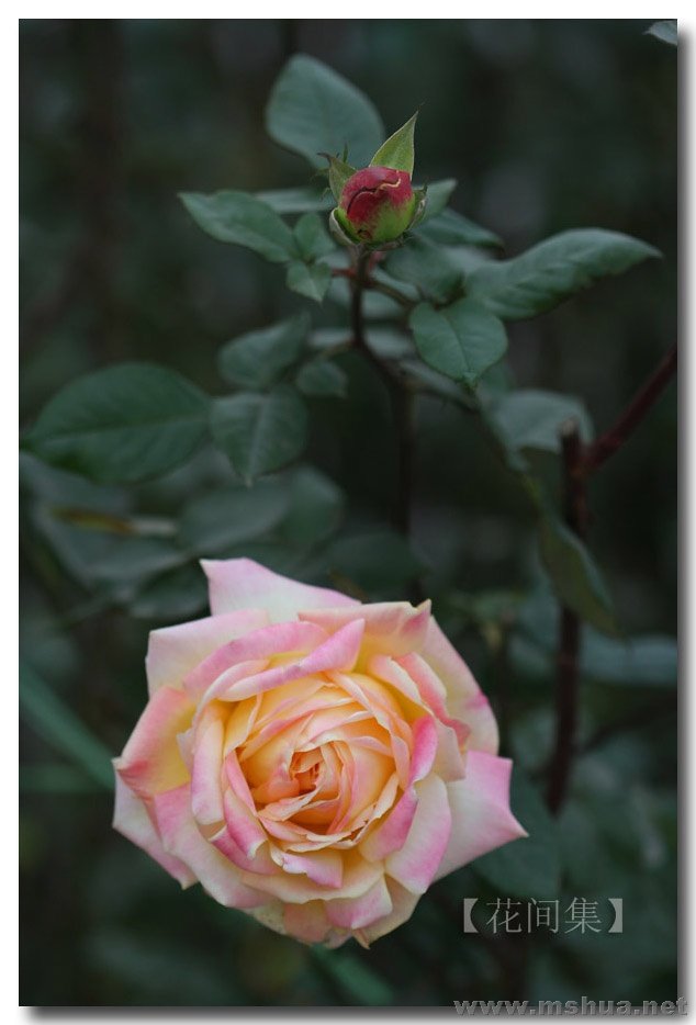 IMG_0018 ����.jpg