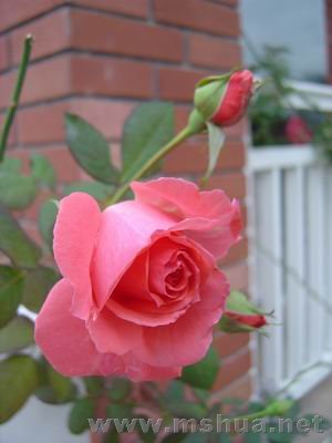 ������С ��ת DSC00611.JPG