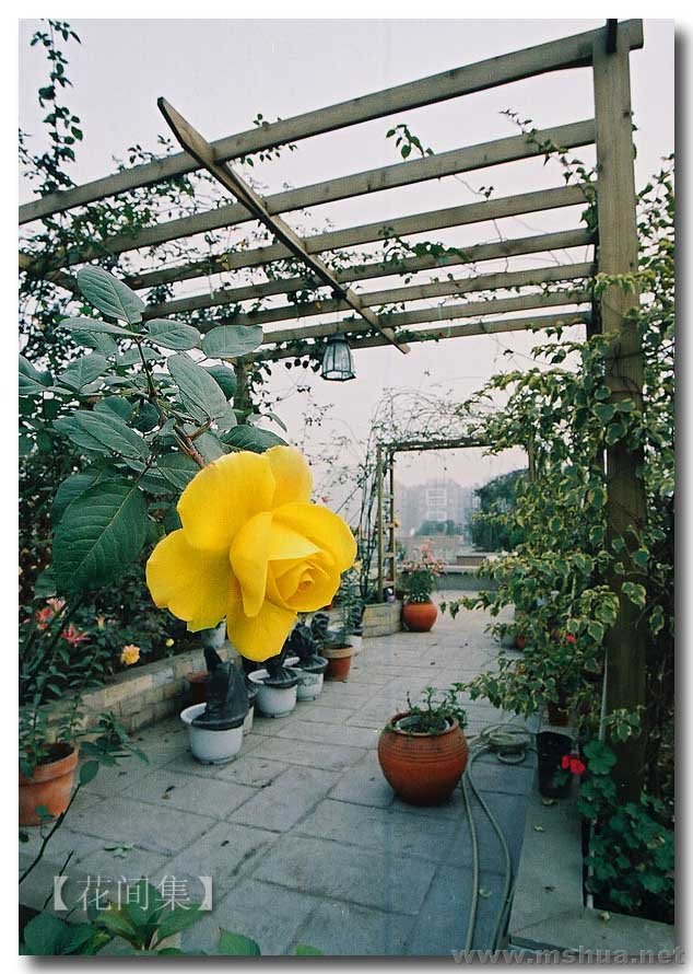 CNV000077 ����.jpg