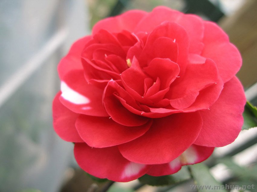 ��÷07-12-26��1��.jpg