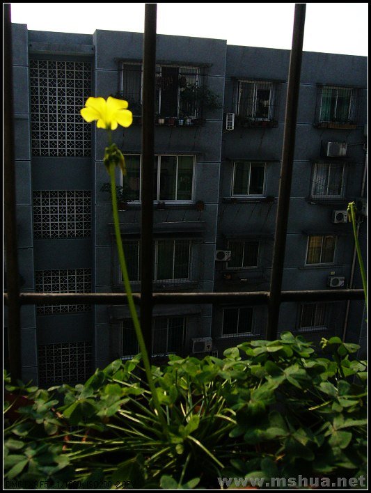 �� ����-2007.12.18_nEO_IMG.jpg