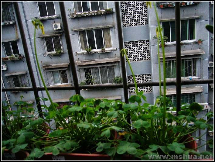 �� ����-2007.12.26_nEO_IMG.jpg