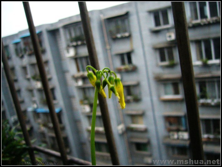 �� ����2-2007.12.26_nEO_IMG.jpg