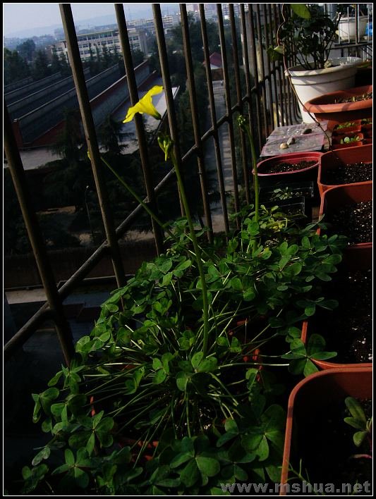 �� ����2-2007.12.18_nEO_IMG.jpg