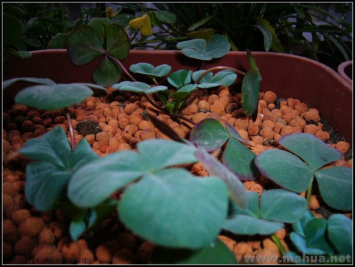 �� ��-2007.12.26_nEO_IMG.jpg