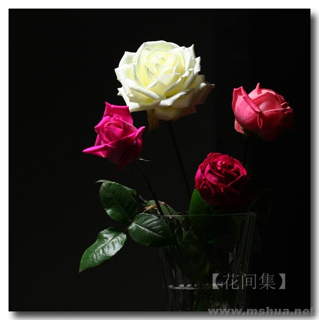 IMG_0191 ����.jpg