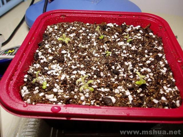 ������С 071227���л�.JPG