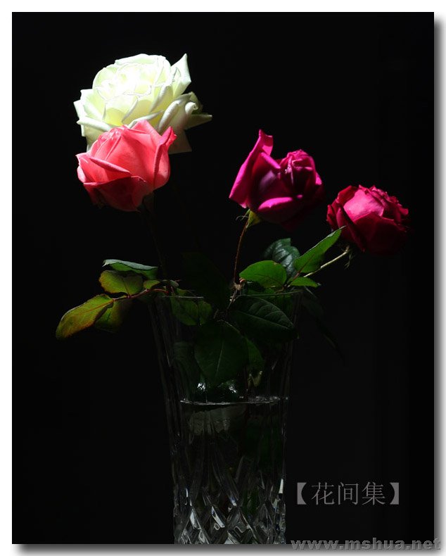 IMG_0195 ����.jpg