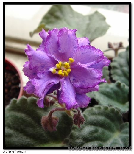 �¿�����㣬��������������˺þòſ������㿪�����ٻ���