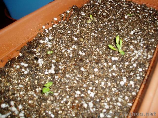 ������С 071227������&�����.JPG