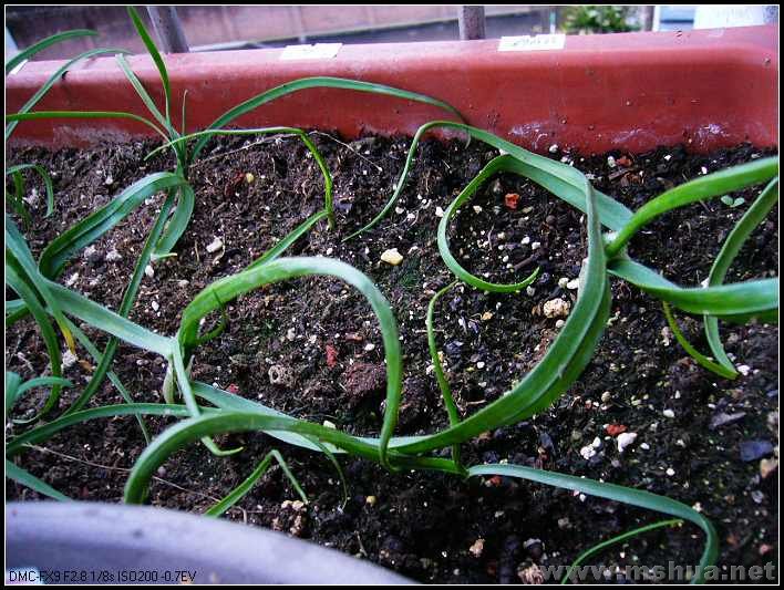 ���� �� ���̻���-2007.12.26_nEO_IMG.jpg