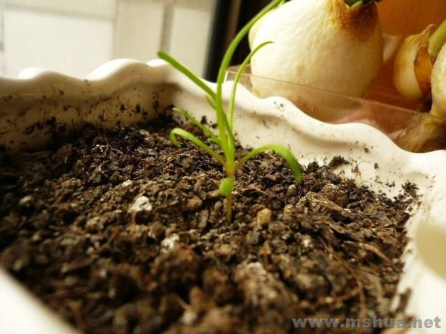 ס����Ĳ�˹�ͣͣ�����ǰ������˵㵪�ʣ�������Ŀ���