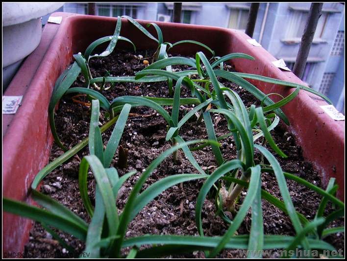 ���� �� XYP ����-2007.12.26_nEO_IMG.jpg