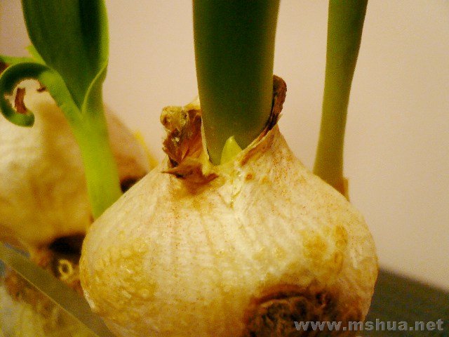 ð����ʲô��ˮ��Ľ�������֪����ô����