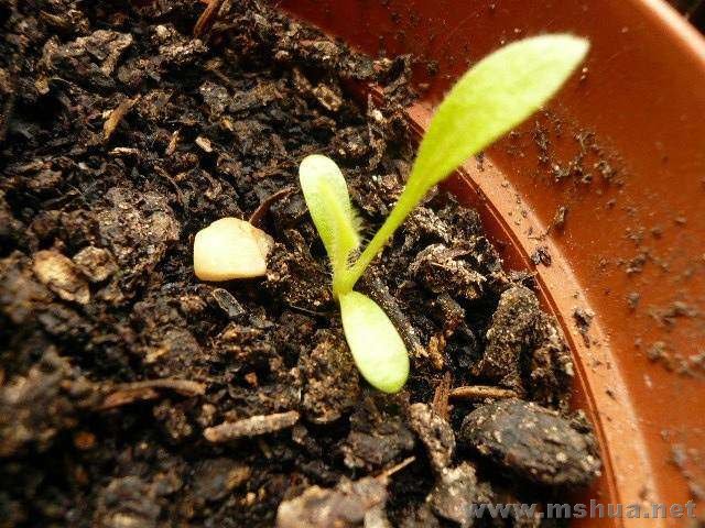 ���˾պͷ��޾�ͬʱ���ģ����Ŀ�