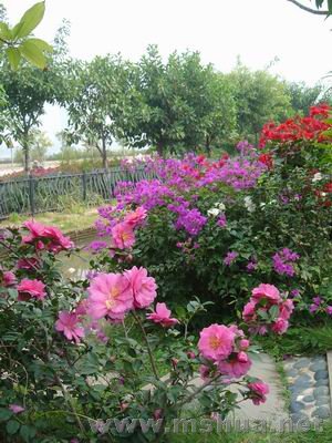 ������С ��ת DSC00552.JPG