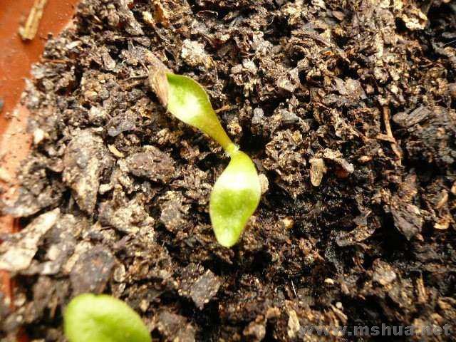 ���޾գ�һ�������ˣ��Բɵ�����Ŷ