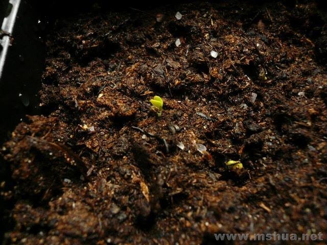 ����������������׶ϸ������β������������Ŷ