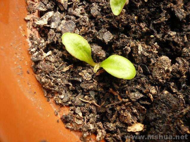 ���÷��޾գ������˳�����