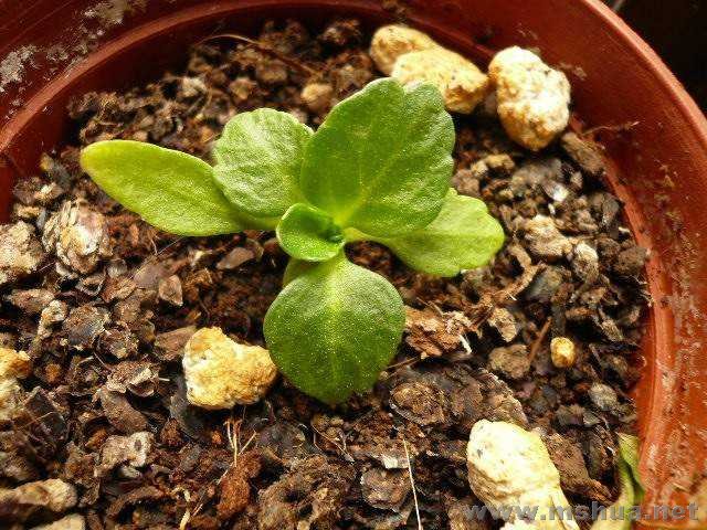 ���װ��˵���ɶ�����գ�