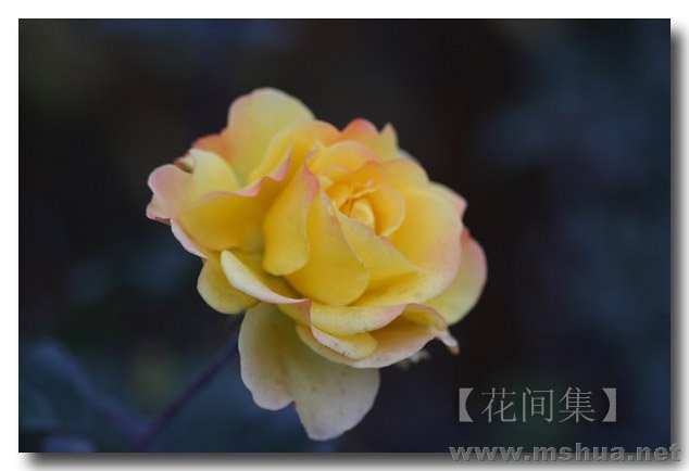 IMG_0206 ����.jpg