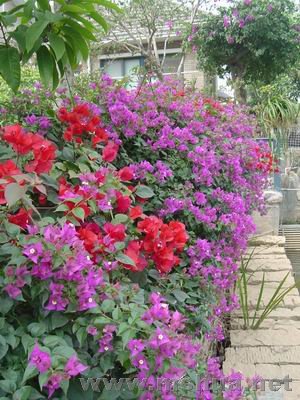������С ��ת DSC00555.JPG