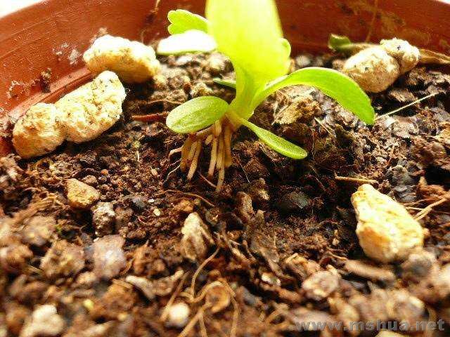 �������Ĺ�ϵ��һ����ð����ô�����Ŷ