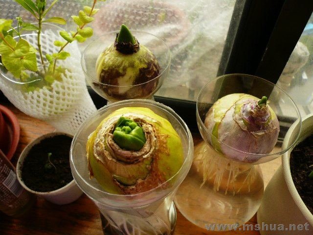 �������ͷ��һ�����ջ��ˣ���