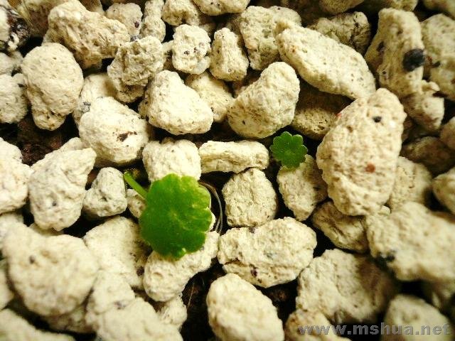 ����·�������ǮǮ����