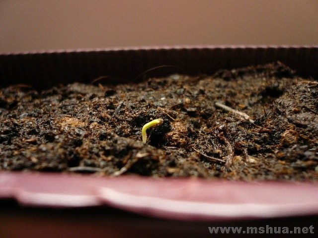 ����¥�ϵĴ�գ�������25�Ż�ûð���������ս���ð�˲���Ŷ����������