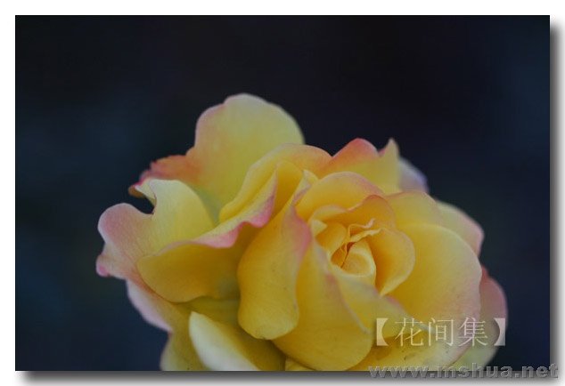 IMG_0202 ����.jpg