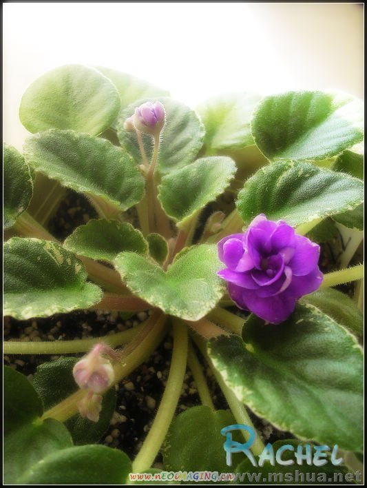 DSCN8432.JPG