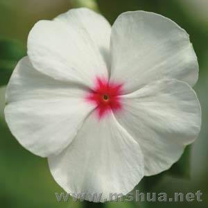 �������м���ۺ�С