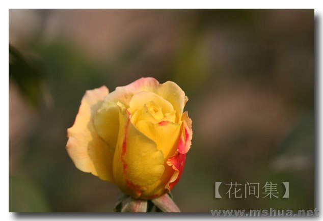 IMG_0213 ����.jpg