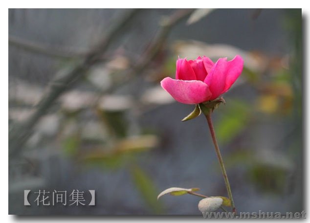 IMG_0256 ����.jpg