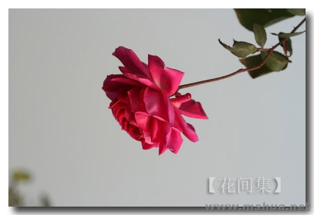 IMG_0228 ����.jpg