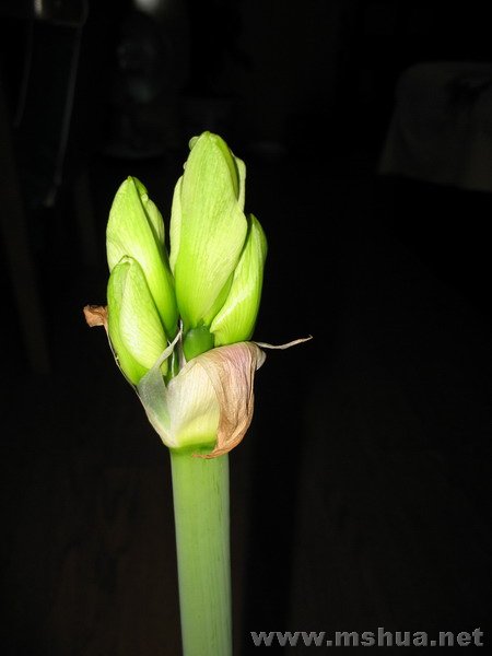 �ŵ���12.28 (3).JPG