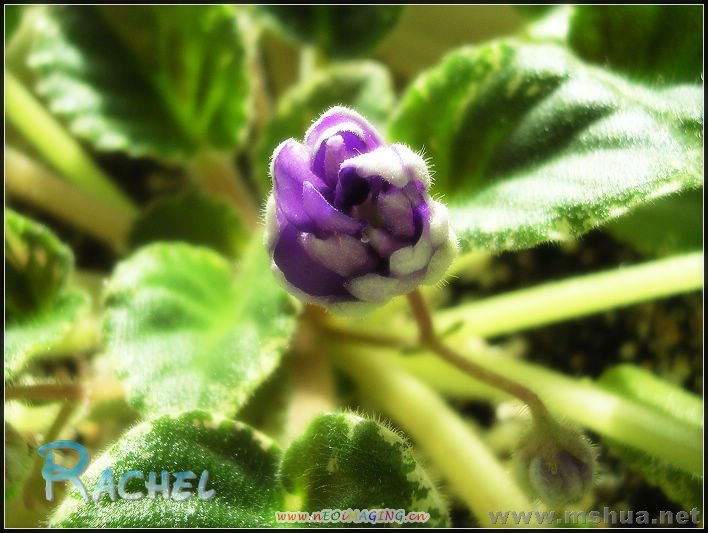 DSCN8341.JPG
