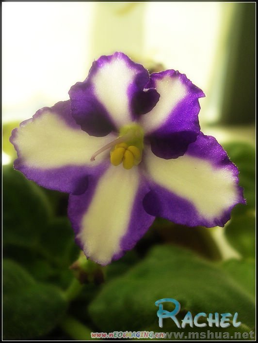 DSCN8428.JPG