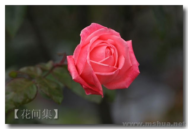 IMG_0163 ����.jpg