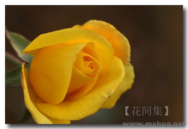 IMG_0220 ����.jpg