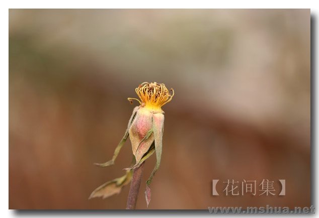 IMG_0232 ����.jpg