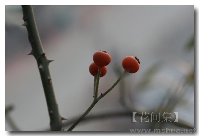 IMG_0257 ����.jpg