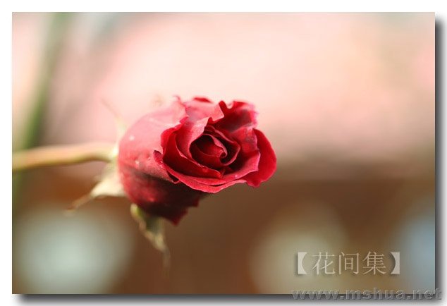 IMG_0209 ����.jpg