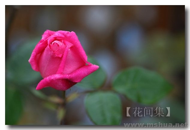 IMG_0161 ����.jpg