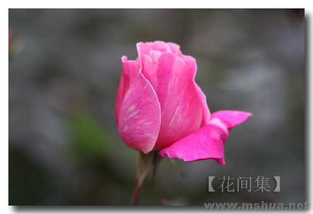 IMG_0201 ����.jpg