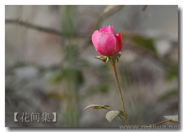 IMG_0210 ����.jpg