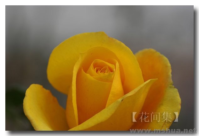 IMG_0222 ����.jpg